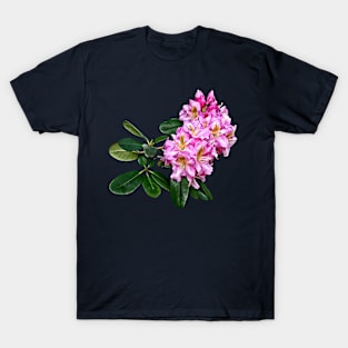 Pale Pink Rhododendron T-Shirt